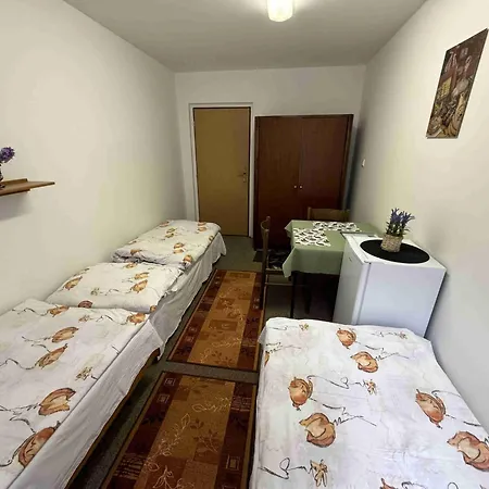 Maison d'hôtes Ubytovna Cesky Krumlov